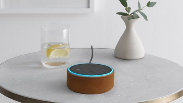 echo dot shower